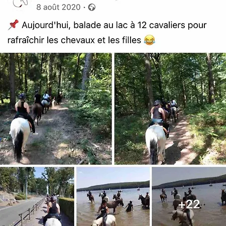 A L'oree Des Bois Vakantiehuis *