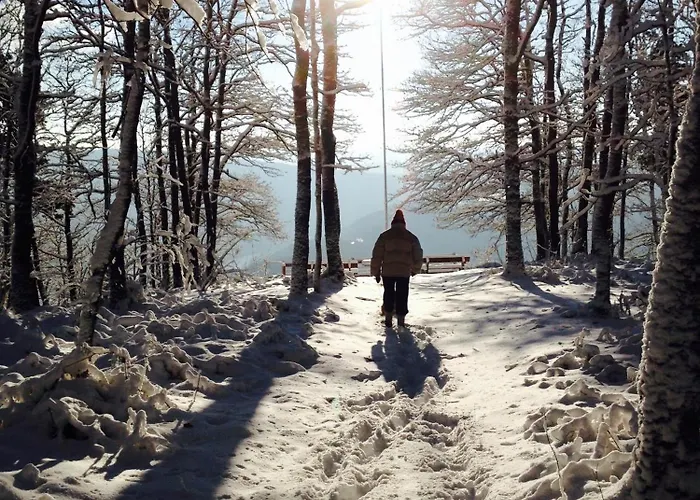 Holiday home A L'oree Des Bois Montherme