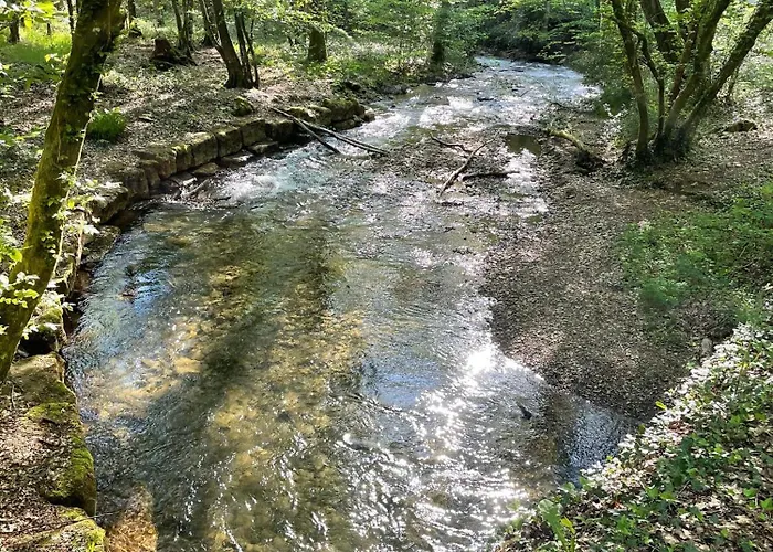 A L'oree Des Bois Holiday home *